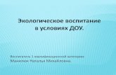 Экологическое воспитание в условиях ДОУ.127.murmansk.su/images/metodicheskaya-kopilka/... · Работа с родителями Посещение