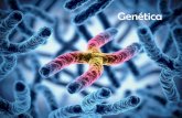 Genética - WordPress.com...Primeira Lei de Mendel GENÉTICA Nomenclatura de Mendel Nomenclatura atual Puro Homozigoto Híbrido Heterozigoto Fatores Alelos Segregam na formação dos