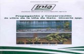 Propagación y conservación in vitro de la uña de gatorepositorio.inia.gob.pe/bitstream/inia/998/1/Pinedo... · APLICACIONES DEL CULTIVO DE TEJIDOS: Obtención de plantas libres