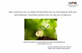 INFLUENCIA DE LA PRECIPITACIÓN EN LA …...• 400 especies en el mundo. Europa Artemisia vulgaris Sur Europa Artemisia verlotiorum Artemisia annua (Boja, Tomillo negro o Ajenjo)