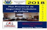 C Plan Provincial de...Plan Provincial de Seguridad Ciudadana de Cañete 2018 Av. Mariscal Benavides Cuadra 9 S/N – Frente a MEGAPLAZA – CAÑETE Telf.: 581-1050 / 335-2459 a 3