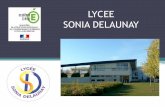 LYCEE SONIA DELAUNAY · 2019-02-10 · Les enseignements de spécialité Les lycées proposeront des enseignements de spécialité parmi les suivants (en noir ceux proposés à Sonia
