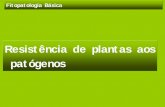 Resistência de plantas aos patógenos · Resistências de plantas às doenças ... planta; ü a resistência induzida nas plantas pode ser transmitida através de enxertia Propriedades