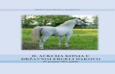 II. AUKCIJA KONJA U DRŽAVNOJ ERGELI ĐAKOVO · 2017-11-27 · - upis konja u službeni katalog aukcije, - besplatni primjerak kataloga aukcije, - prezentaciju konja u programu aukcije