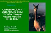 CONSERVACION Y USO ACTUAL DE LA - Infoalpacasinfoalpacas.com.pe/wp-content/uploads/2016/04/WG5-CS8-P.pdfCONSERVACION Y USO ACTUAL DE LA VICUÑA (Vicugna vicugna mensalis) EN EL PERU