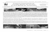 Proyecto Conservación de Tortugas Baulas del Pacífico El ...assets.panda.org/downloads/boletinjunquillalfinal.pdf · Proyecto de Conservación de Tortugas Baulas del Pacífico –