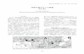 神奈川県のサツキ群落nh.kanagawa-museum.jp/files/data/pdf/nhr/20/nhr20_103...において植物社会学的な調査を実施した。調査地 では，サツキ群落のほか，ヤシャゼ、ンマイ群落やナ