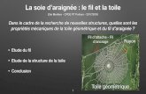 La soie d’araignée : le ﬁl et la toilemandelapoitiers.e-monsite.com/.../soutenance-finale-tipe.pdfLa soie d’araignée : le ﬁl et la toile Elie Merlière - CPGE PT Poitiers