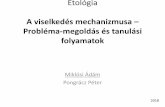 Etológia A viselkedés mechanizmusa – Probléma megoldás és …etologia.elte.hu/file/statikus/12_EtoBSc_45p_elme_tanul... · 2019-03-21 · Probléma-megoldás Probléma: Az