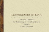 Moodle@Units - La replicazione del DNA La replicazione semiconservativa del DNA Quando Watson e Crick