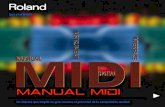 MIDI · 2018-02-23 · La información MIDI se envía desde MIDI OUT a MIDI IN, o desde MIDI THRU a MIDI IN. Por ejemplo, un “controlador de teclado” MIDI sin ningún sonido propio,
