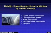 Richtlijn: Doelmatig gebruik van antibiotica bij urinaire infecties · 2012-04-29 · UCL PK/PD Workshop september 2004 5C-1 Richtlijn: Doelmatig gebruik van antibiotica bij urinaire