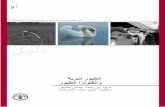 Wild birds and avian influenza (Arabic version)ﺔﻣﺪﻘﳌﺍ ﺬﻨﻣ (HPAI) ﺽﺮﻤﻠﻟ ﻱﻮﻘﻟﺍ ﺐﺒﺴﳌﺍ (H5N1) ﺭﻮﻴﻄﻟﺍ ﺍﺰﻧﻮﻠﻔﻧﻹ