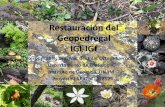 Restauración del Geopedregal IGl-IGf...Oenothera rosea L´Her. ex. Aiton KVS-19 Passifloraceae Passiflora subpeltata Ortega KVS-20 Plumbaginaceae Plumbago pulchella Boiss. KVS-21