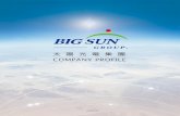 太陽光電集團 - Big Sun Energy Technology Inc · 太陽光電能源科技(股) 2006 2009 太陽光電綠能整合專家 實收資本額 26.4 億 太陽光電產品整合： 2006