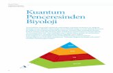 Dr, Bilimsel Programlar Uzmanı, Kuantum Penceresinden Biyoloji - …vizyon21y.com/.../Kuantum_penceresinden_Biyoloji.pdf · 2017-09-16 · si Erwin Schrödinger’in bu düşünceden