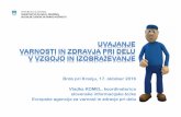 Brdo pri Kranju, 17. oktober 2016 Vladka KOMEL ......okviru predmeta ekonomska sociologija (2013) in študentje zadnjega letnika Medicinske fakultete (2014) Brazilski dokumentarni