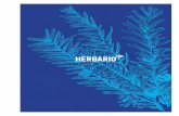 HERBARIO es un restaurante ubicado en una...HERBARIO es un restaurante ubicado en una bodega, en donde los materiales rústicos como el cemento y el hierro se combinan con la calidez