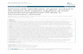 RESEARCH ARTICLE Open Access Genome-wide identification of …repositorium.sdum.uminho.pt/bitstream/1822/28690/1/sousa... · 2019-12-03 · RESEARCH ARTICLE Open Access Genome-wide