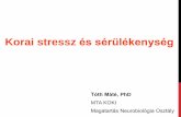 Korai stressz és sérülékenységkoki.hu/data/cikkek/106/1063/cikk-106370/11 Korai stress... · 2017-08-03 · Korai stressz és sérülékenység. Korai stressz és sérülékenység