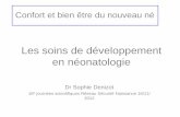 Les soins de développement en néonatologie · Les soins de développement en néonatologie Dr Sophie Denizot 16e journées scientifiques Réseau Sécurité Naissance 16/11/ 2012