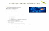 Proiezioni del ginocchio ok - TSRM Brescia · 2019-04-18 · 5 2. ANATOMIA RADIOLOGICA 1- Diafisi femorale 2- Rotula 3- Condilo femorale mediale 4- Piatto tibiale mediale 5- Spina