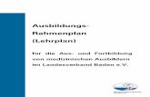 Ausbildungs- Rahmenplan (Lehrplan)...IV gedruckt: 06.04.2009 3.1.3.6 Umsetzung der Handlungsanweisung „DLRG Frühdefibrillations-Konzept und Ausbildungsunterlagen / BAGEH / BÄK“