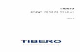 JDBC 개발자 안내서 - TmaxData 5 JDBC... · 2019-06-26 · 안내서 구성 Tibero JDBC 개발자 안내서는 총 10개의 장으로 이루어져 있다. 각 장의 주요 내용은