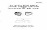 The Freshwater Bivalve Mollusca (Unionidae, Sphaeriidae ...archive-srel.uga.edu/NERP/docs/SRO-NERP-3.pdfThe Freshwater Bivalve Mollusca (Unionidae, Sphaeriidae, Corbiculidae) ofthe