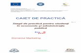 Caiet de practica EcoPrac Domeniul Marketing anul 2proiectecoprac.ase.ro/wp-content/uploads/2019/10/practica_caiet_marketing.pdf · FONDUL SOCIAL EUROPEAN Programul Operaţional Capital