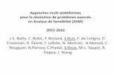 J-S. Bailly, C. Bidot, F. Boizard, S.Buis, F. de Coligny ...capsis.cirad.fr/capsis/_media/documentation/... · adaptés aux problèmes avancés d’analyse de sensibilit ... –Fort