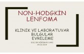 NON-HODGKİN LENFOMA°MAN... · 2020-02-09 · apoptosis pathway Increased CD4 and CD8 T cells LPHL, CHL, DLBCL, BL Common variable immunodeficiency (CVID) Defects in genes encoding