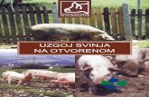 UZGOJ SVINJA NA OTVORENOMZa uzgoj na otvorenom interesantne su dvije hrvatske autohtone pasmine svinja koje su vrlo otporne na loše uvjete držanja i hranidbe, a to su crna slavonska