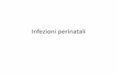 infezioni neonatali 2018 - Unife · Infezioni prenatali-perinatali-postnatali • TORCH (Toxoplasma gondii, Virus della Rosolia, Citomegalovirus ed Herpes Simplex) •Infezioni postnatali