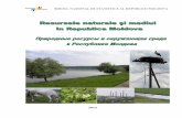 BIROUL NAŢIONAL DE STATISTICĂ AL REPUBLICII MOLDOVA · Resursele funciare. Земельные ресурсы 2.1. Repartizarea fondului funciar după destinaţie, la 1 ianuarie