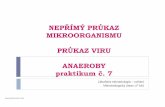 STAFYLOKOKY praktikum č. 1 - Masaryk University...praktikum č. 7 Lékařská mikrobiologie –cvičení ... Enzym –ELISA. Při použití enzymu je nutno do reakce přidat ještě