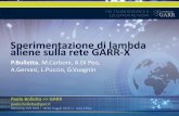 Sperimentazione di lambda aliene sulla rete GARR-X...Sperimentazione di lambda aliene sulla rete GARR-X P.Bolletta, M.Carboni, A.Di Peo, A.Gervasi, L.Puccio, G.Vuagnin Workshop CCR
