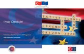 Proje Örnekleri - AB ornekleri.pdf · Proje Örnekleri Enhancing Turkey’s Participation in EU Programmes: From Cooperation to Accession AB Programlarına Katılımın Güçlendirilmesi