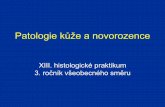 Patologie kůže a novorozenceustavpatologie.upol.cz/_data/section-1/413.pdf · Psoriasis Chronické onemocnění kůže (hyperproliferace epidermis) Hyperkeratóza Parakeratóza