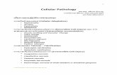 Cellular Pathology - med.nu.ac.th Pathology-lab1.pdf3 ภาควิชาพยาธิวิทยา คณะแพทยศาสตร์ 2556 (by JS) จำกกำรศกึษำชนิ้เนอื้หัวใจ