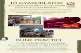 JÓ GYAKORLATOK - csikleader.rocsikleader.ro/docs/jo_gyakorlatok/06_jogyakorlatok.pdf · Viziune: Integritatea spirituală – sufletească – materială înseamnă perfecțiunea