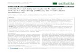 RESEARCH ARTICLE Open Access CP690,550 inhibits …RESEARCH ARTICLE Open Access CP690,550 inhibits oncostatin M-induced JAK/STAT signaling pathway in rheumatoid synoviocytes Kiyoshi