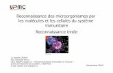 Reconnaissance des microorganismes par les molécules et ......Reconnaissance innée Dr. Isabelle CREMER MCU Université Paris 6 U872 INSERM, équipe 13: « Microenvironnement Immunitaire