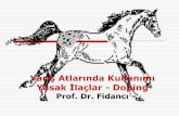 Yarış Atlarında Kullanımı Yasak İlaçlar80.251.40.59/veterinary.ankara.edu.tr/fidanci/Ders...• Otonom sinir sistemi üzerine etki eden ilaçlar • Kardiovasküler sistem üzerine