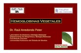 Dr. Raúl Arredondo Peter · Hemoglobinas Vegetales Dr. Raúl Arredondo Peter Laboratorio de Biofísica y Biología Molecular Departamento de Bioquímica y Biología Molecular