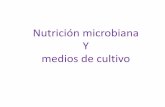 Nutrición microbiana Y medios de cultivosgpwe.izt.uam.mx/files/users/uami/acym/nutricion_y... · 2011-06-13 · Medios de cultivos Material nutritivo en el que se pueden recuperar,