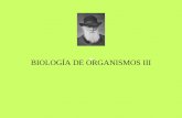 BIOLOGÍA DE ORGANISMOS III - prof.usb.veprof.usb.ve/eherre/BO3-Insect.pdf · Miriápodos (2) Un solo par de antenas (homólogas con el 2do par de los crustáceos) Maxilas y mandíbulas