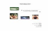 Los Yanomami y su Cosmovisión A través de Micros Radiofónicossaber.ucv.ve/bitstream/123456789/6378/1/Yanomami AB3.pdf · 2017-07-11 · trabajo de grado, cuyo objetivo principal