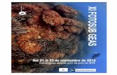 XI FOTOSUB GEAS - Teulada Moraira Turismo · xi fotosub geas campeonato de fotografÍa submarina viernes 21 de septiembre:presentaciÓn del evento. benissa sÁbado 22 de septiembre:
