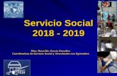 Servicio Social 2018 - 2019 - UNAM 2018/pro_reg_desa_conc_ss_2018_2019.pdfal reporte final de la escuela . AL TERMINO REPORTE DE SERVICIO SOCIAL Se entregara en la Coordinación de
